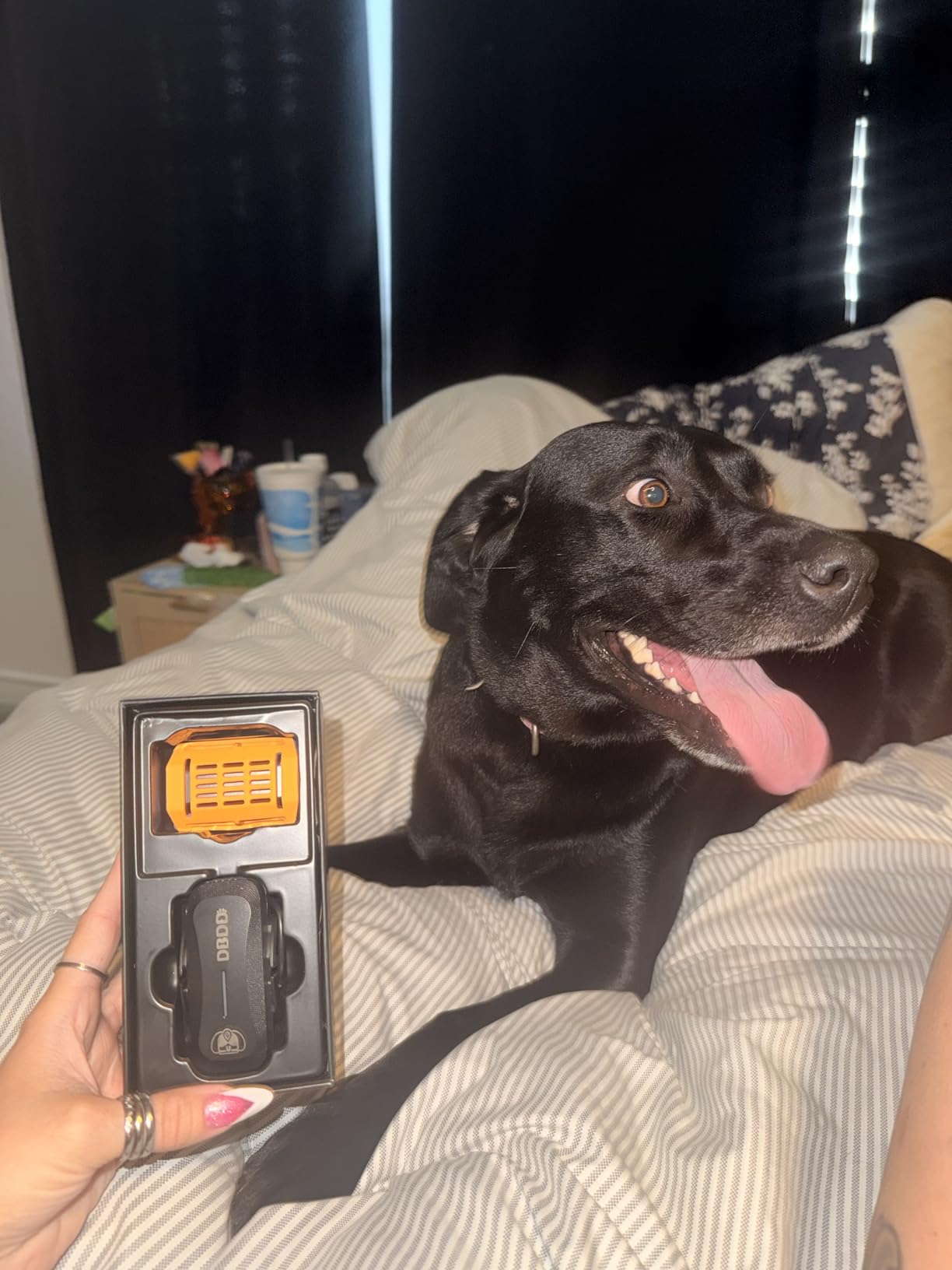 DBDD Dog GPS Tracker, AI Tracker Collar with Virtual Fence & Health Monitoring - Real Time Location Tracker for Escape Artists, Electronic Fence Collar for Medium to Large Dogs, iOS and Android customer photo 1