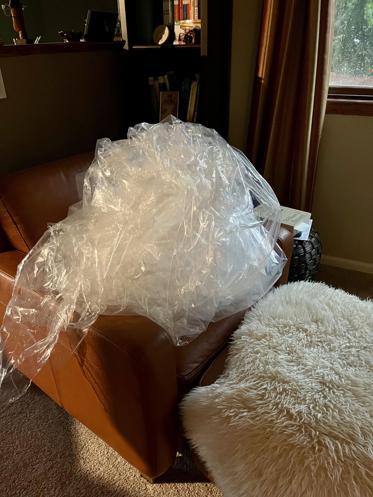 My Green Mattress Kiwi Organic Mattress - Hybrid Latex Mattress with GOTS Cotton & Wool, GOLS Latex, 7-Zone Pocket Coil Support, Hand-Tufted Tight Top, Medium Firm Bed - Twin customer photo 1