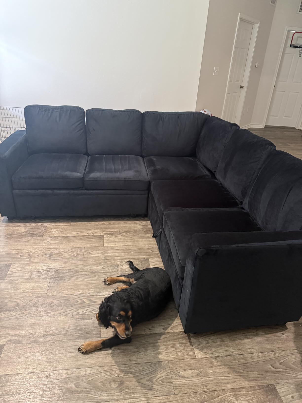 HONBAY Sectional Sleeper Sofa with Pull Out Bed, L Shaped Couch with Storage Seat, Modular Sectional Couches for Living Room, Dark Grey customer photo 1