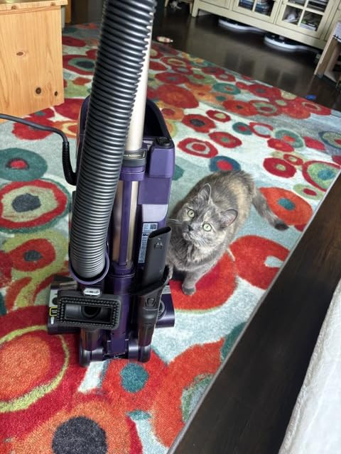 Shark POWERDETECT Upright Vacuum Cleaner with HEPA Filter, Heavy Duty Vacuum with Powerful Suction for Pet Hair Pickup, DuoClean Technology, AZ4002 customer photo 2