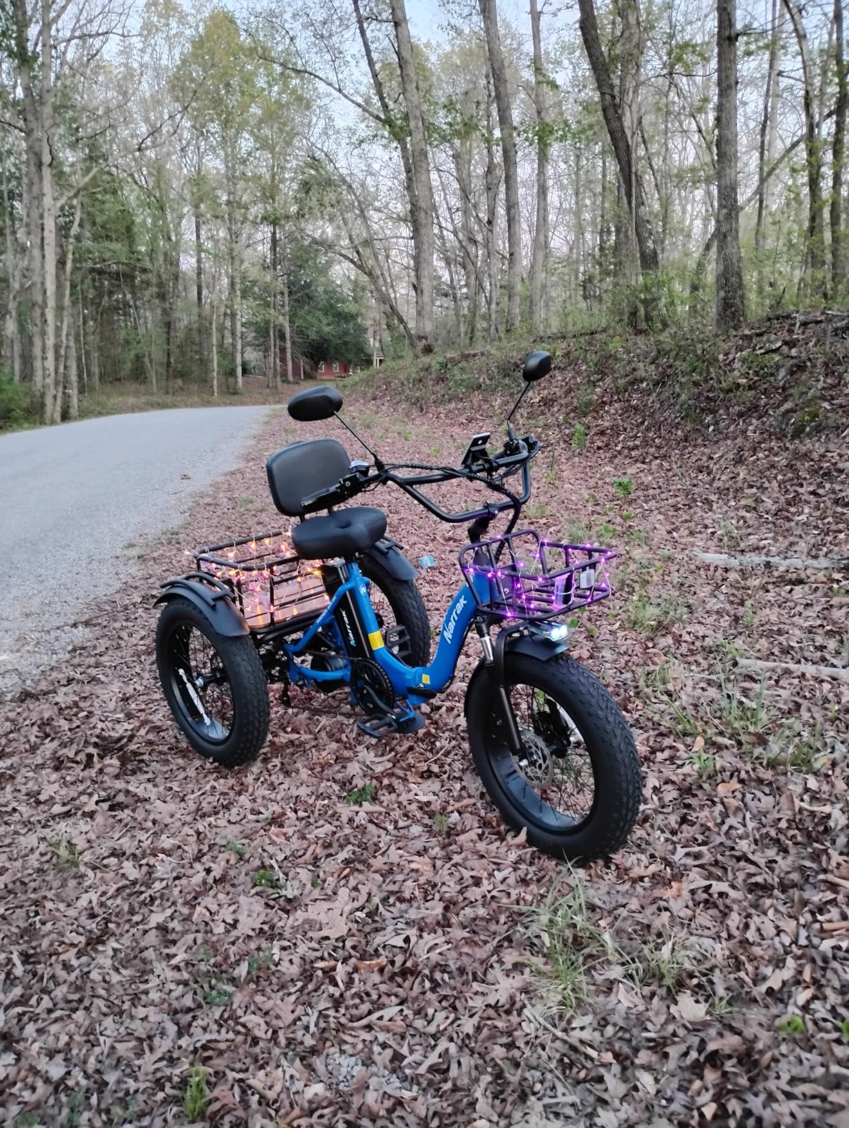 NARRAK Electric Tricycle for Adults, Fat Tire Folding Electric Trike, 3 Wheels Electric Bicycle Bikes, Peak 1350W Step-Thru Etrike with Removable Battery and Large Basket customer photo 1