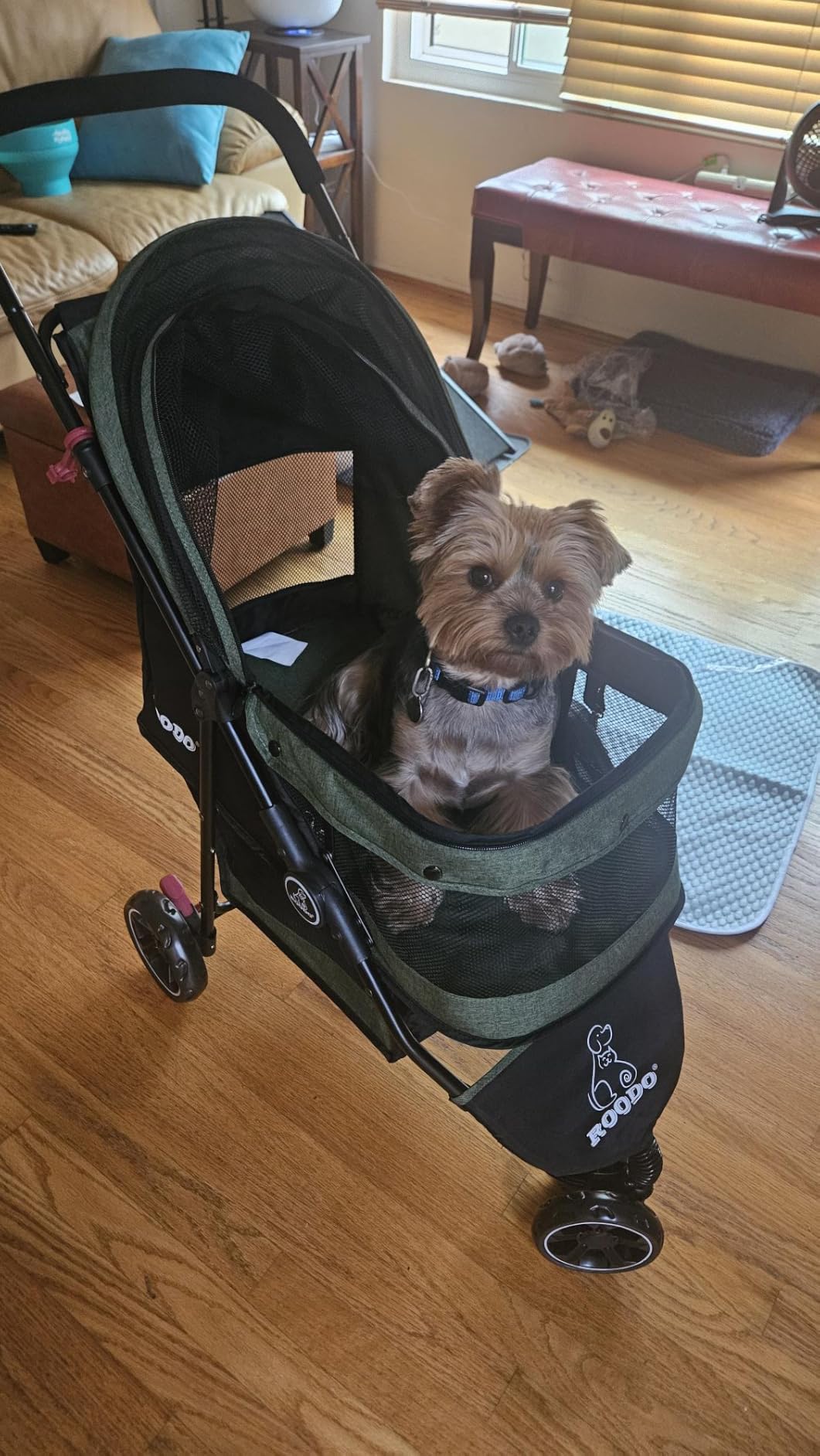 ROODO 3 Wheel Dog Pet Cat Stroller Best Lightweight Foldable Compact Portable Jogger All Terrain Travel Pet Gear Puppy Kitty Stroller for up to 30lbs Medium Small Dogs and Cats (Light Khaki) customer photo 1