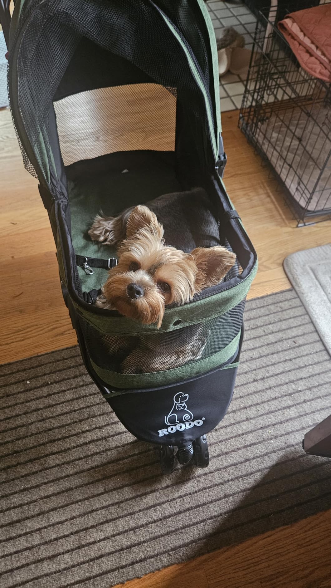 ROODO 3 Wheel Dog Pet Cat Stroller Best Lightweight Foldable Compact Portable Jogger All Terrain Travel Pet Gear Puppy Kitty Stroller for up to 30lbs Medium Small Dogs and Cats (Light Khaki) customer photo 2