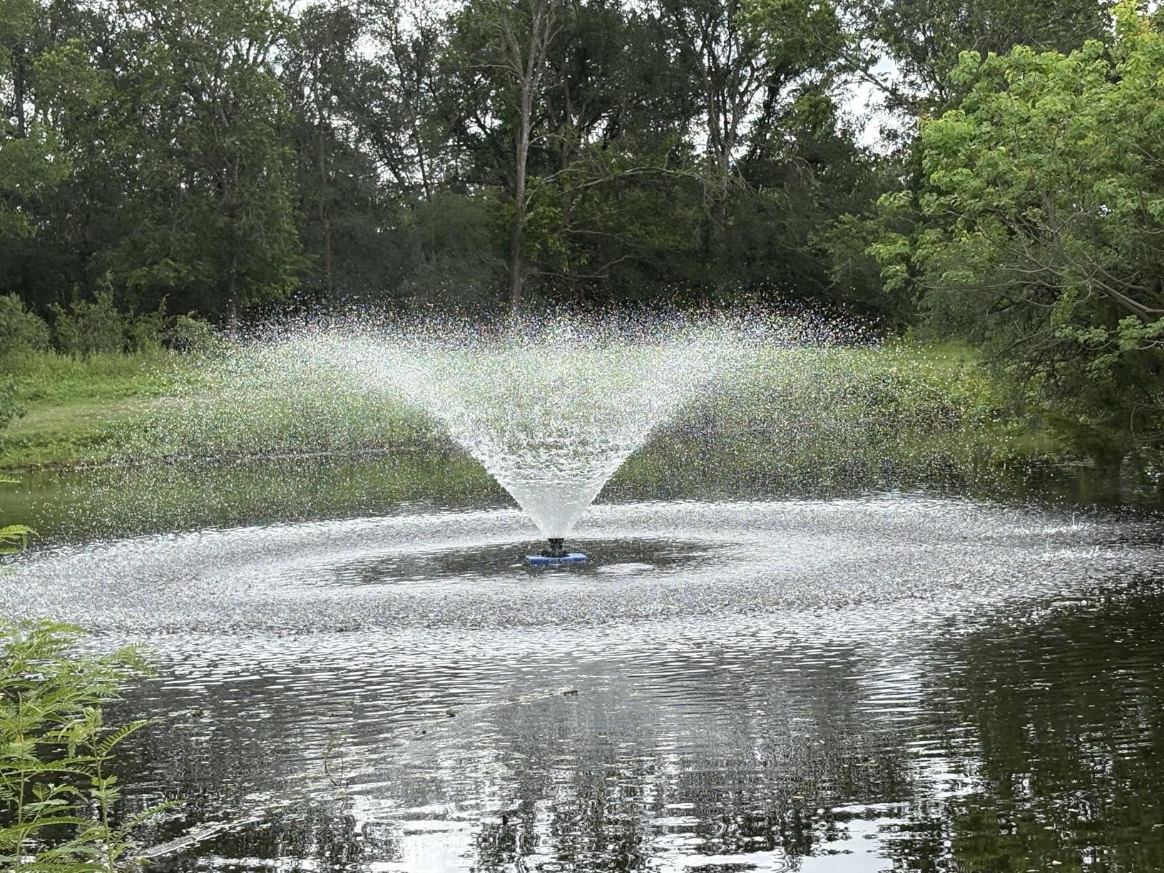 Goldlife Pond Fountain Aerator, F2-2 1HP 750W 110V Stainless Steel Floating Fountain With 100 Feet Power Cord, Timer, Aerating Fountain Pond Cascade Pump for Small Large Ponds Lake Jet System customer photo 1