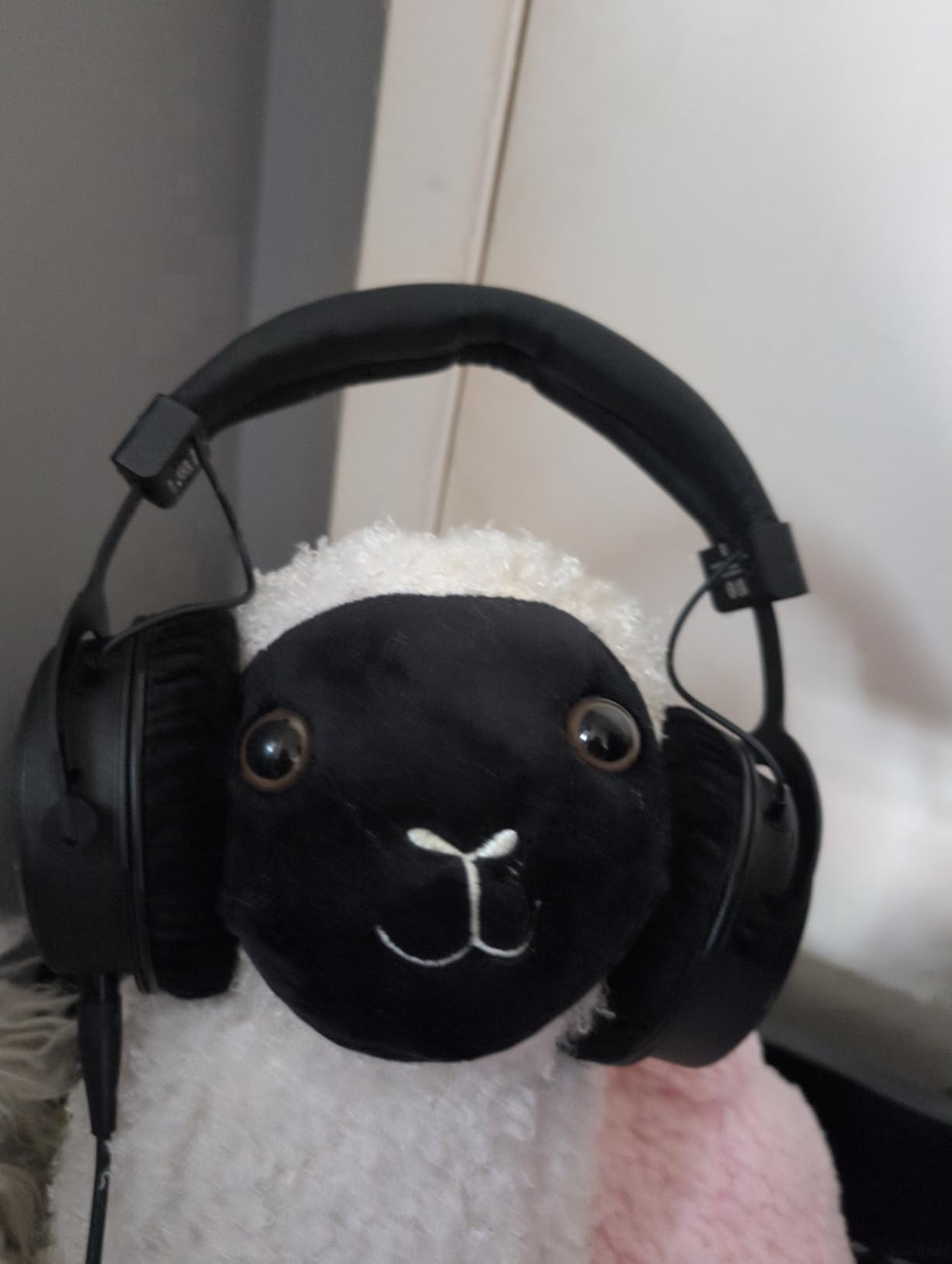beyerdynamic DT 1770 PRO MKII Wired Over-Ear Headphones, 30 Ohm, Closed-Back Professional Recording Studio Monitor. 2 Detachable Cables, Velour & Leatherette Ear Pads, Handmade in Germany. Black customer photo 1