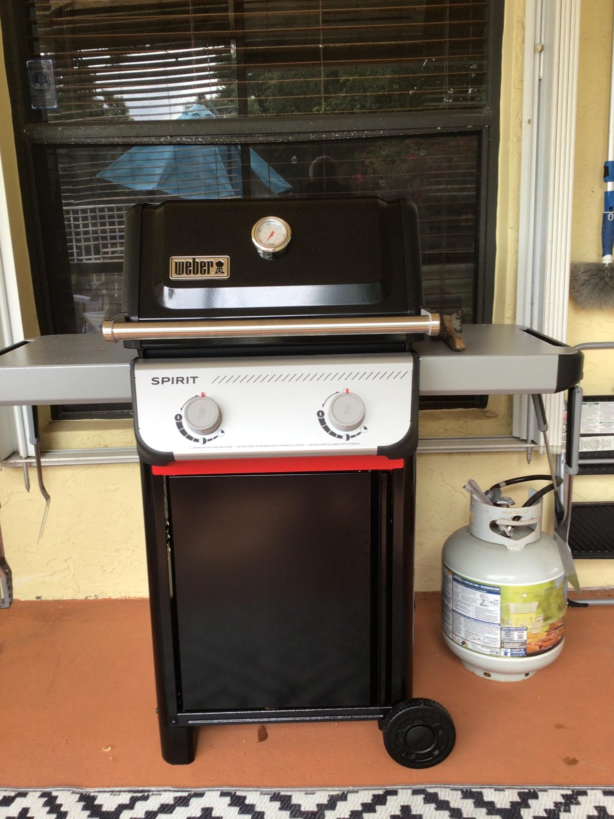 Weber Spirit E-210 Liquid Propane Gas Grill, 2 Burners, Black - Porcelain-Enameled Cast-Iron Grates & Snap-Jet Ignition customer photo 2