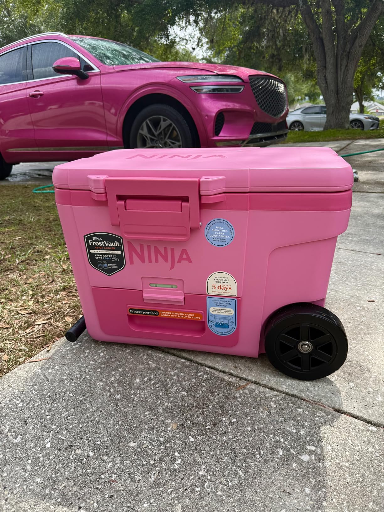 Ninja FrostVault 45QT Cooler with Wheels | Insulated with Temp Dry Storage Drawer | Keeps Ice Cold for Days | for the Beach, Camping, Picnics & More | Lakeshore Blue customer photo 1