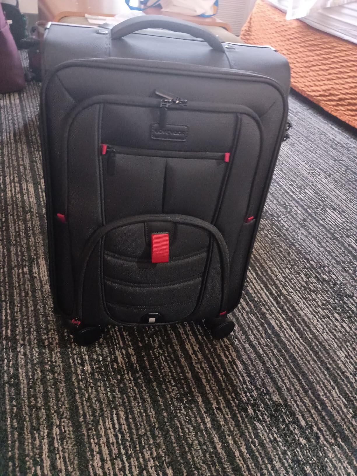 Carry On Luggage 22x14x9 Airline Approved, 22-Inch Suitcases with Spinner Wheels, Softside Carry-on Luggage with TSA Lock for Men Women Business Trip, Lightweight Large Capacity Luggage for Travel customer photo 2