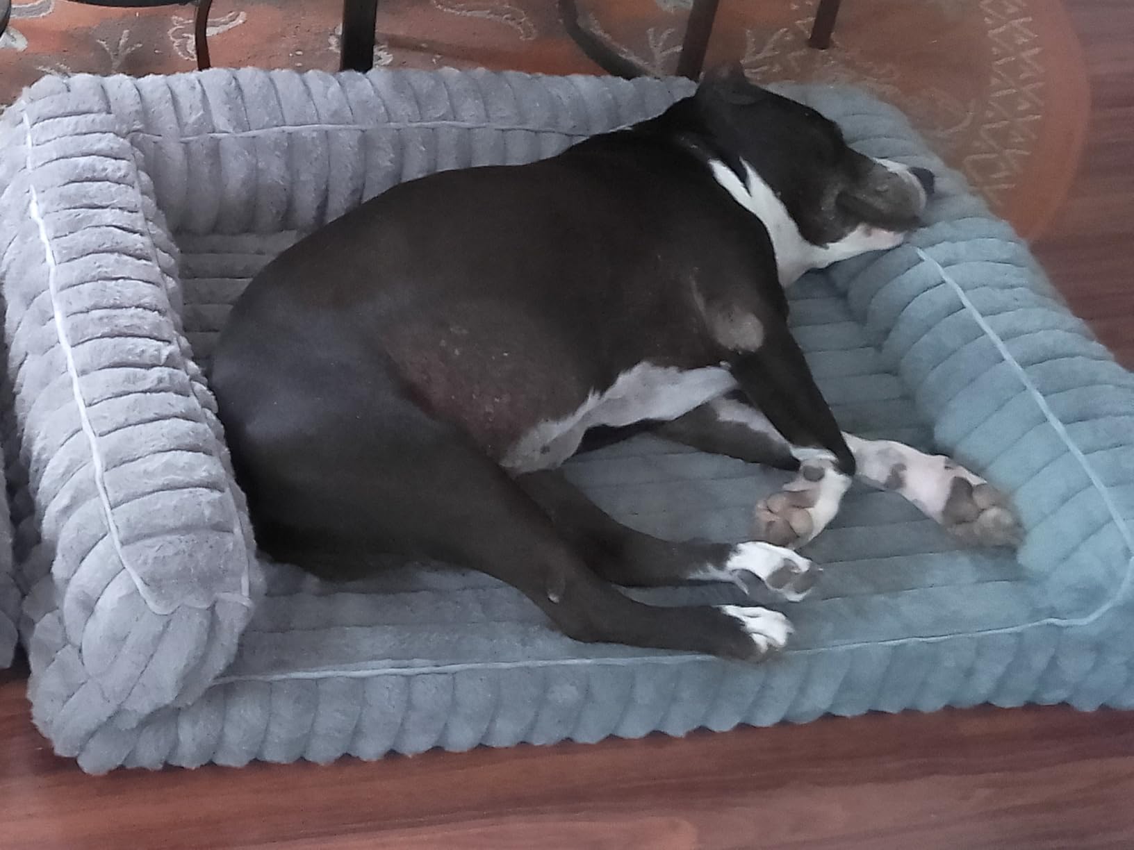 Bedsure ComfyFleece™ Orthopedic Dog Beds Large Sized Dog, Waterproof Memory Foam Pet Couch Sofa with Sides, Non-Slip Bottom and Egg-Crate Foam Large Pet Bed with Washable Corduroy Cover, Grey customer photo 1