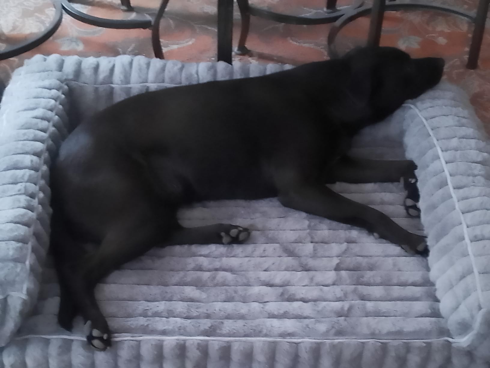 Bedsure ComfyFleece™ Orthopedic Dog Beds Large Sized Dog, Waterproof Memory Foam Pet Couch Sofa with Sides, Non-Slip Bottom and Egg-Crate Foam Large Pet Bed with Washable Corduroy Cover, Grey customer photo 2