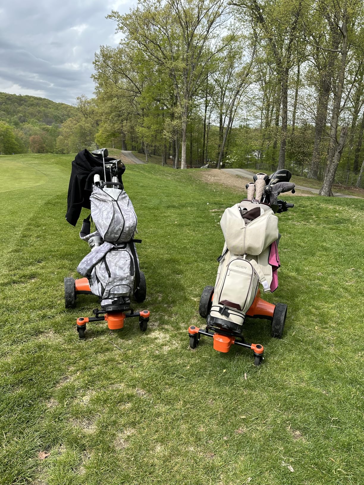 tianhong G5 Electric Golf Cart, Electric Golf Push Cart Auto-Follow You, 45 Hole Battery, All-Terrain Anti-Tipping, Remote/APP/Manual Control, Foldable customer photo 2