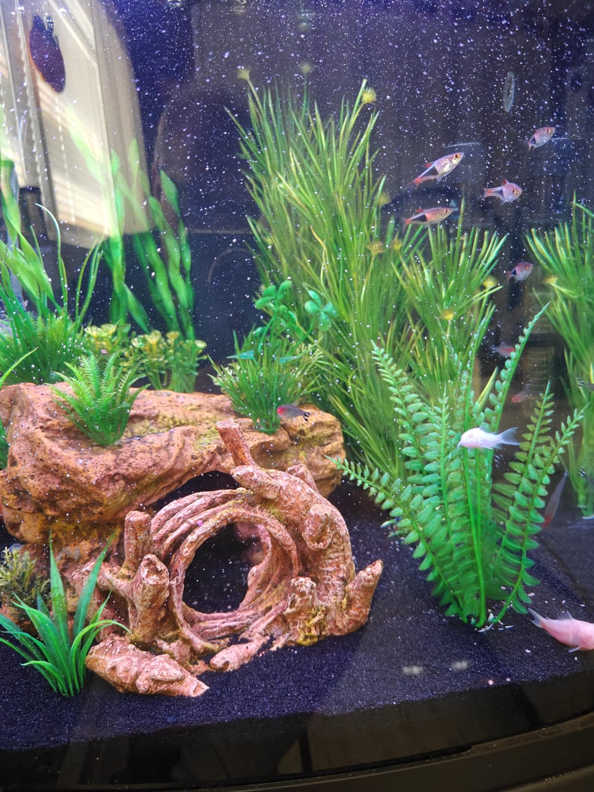 Coralife SMART BioCube Jr, Aquarium Kit, Wi-Fi and Bluetooth Compatible, for Saltwater and Freshwater Environments, 14 Gallons customer photo 1