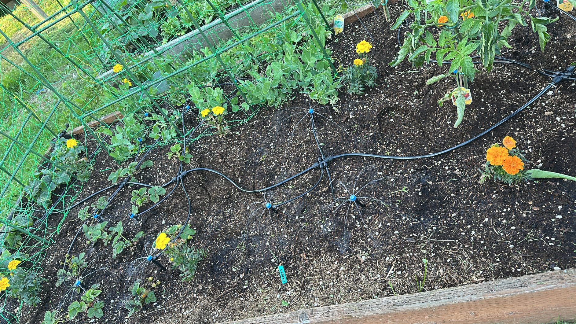 Bonviee 247FT Drip Irrigation System, Automatic Garden Watering System Kit with 50FT 5/16