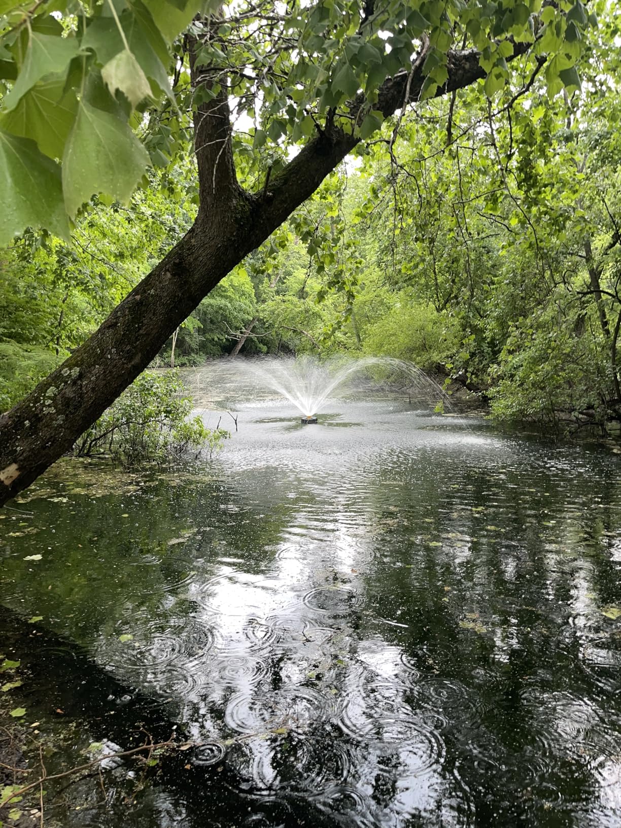 Pond Fountain Aerator, 1HP 15000 GPH Fountain Pump with Timer, 15A/110V 100FT power cord, 2 Spray Patterns, Energy-Efficient Water Circulation for Ponds & Lakes customer photo 1