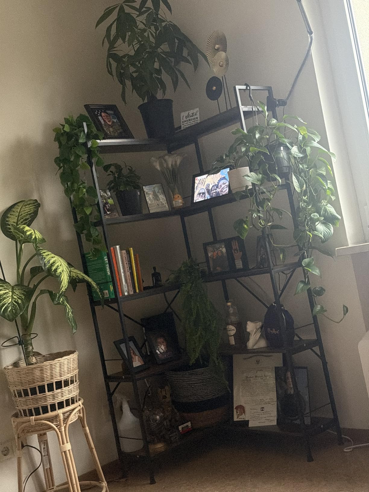 Huuger 5 Tier Bookshelf, L Shaped Corner Bookshelf with 10 Open Shelves, 49.4 Inch Straight Wide Bookcase with Metal Frame and Wooden Board, Adjustable Feet, Rustic Brown customer photo 2