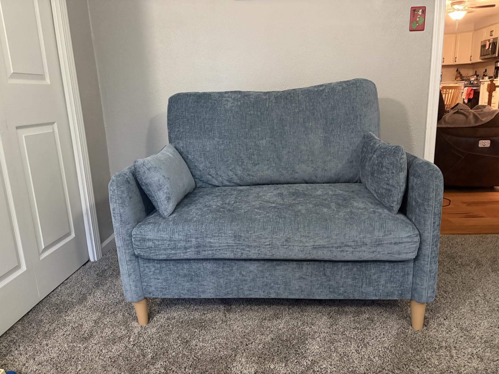 Hanherry Loveseat Sofa, 47