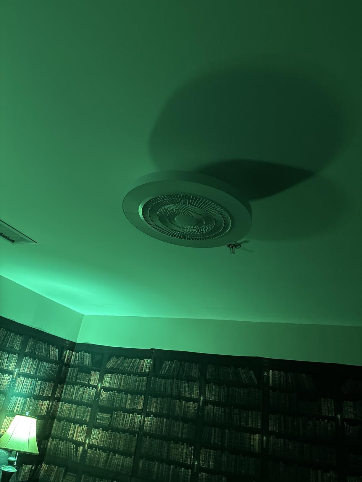 Depuley Modern Ceiling Fan with Light: 19