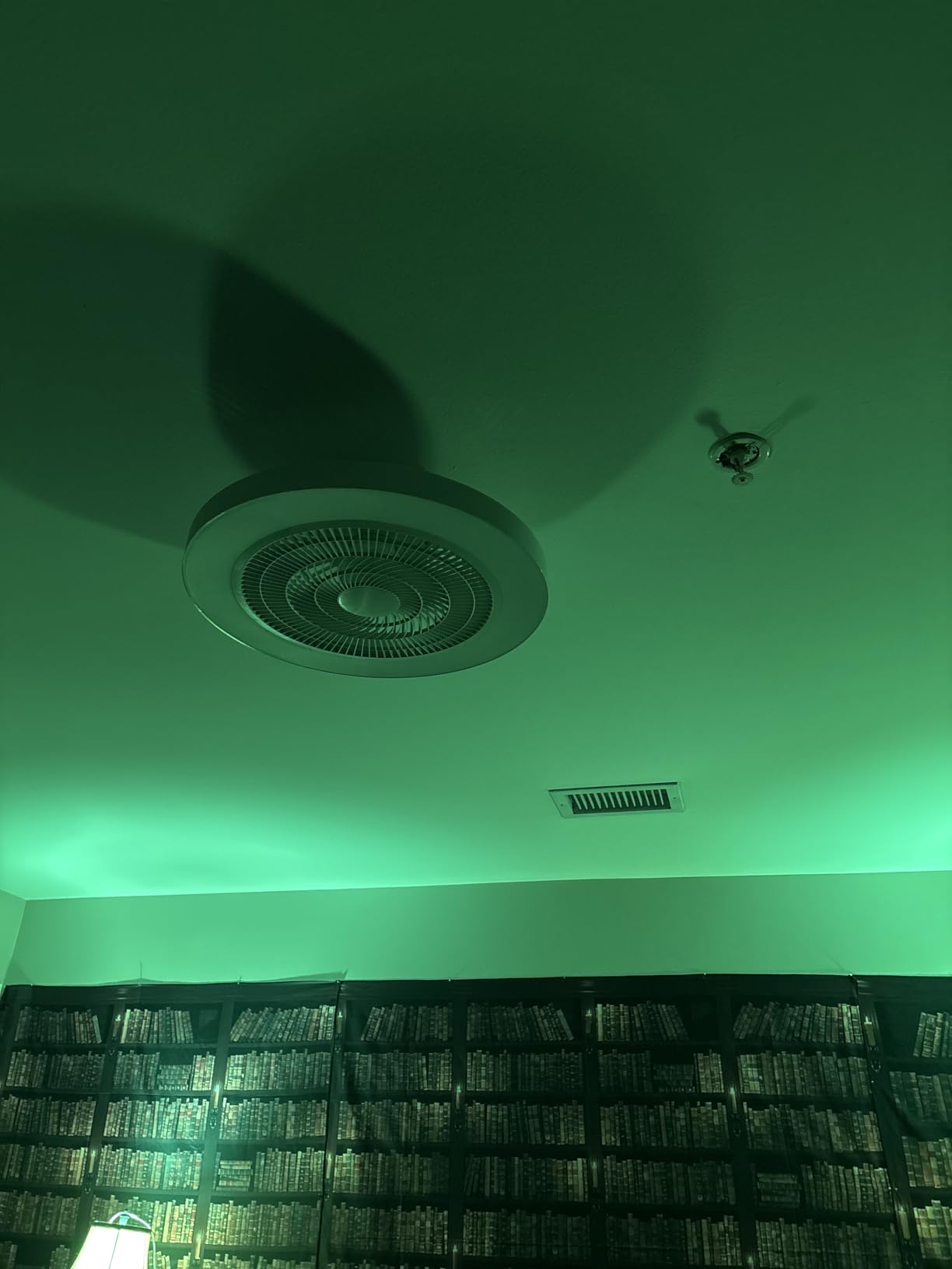 Depuley Modern Ceiling Fan with Light: 19