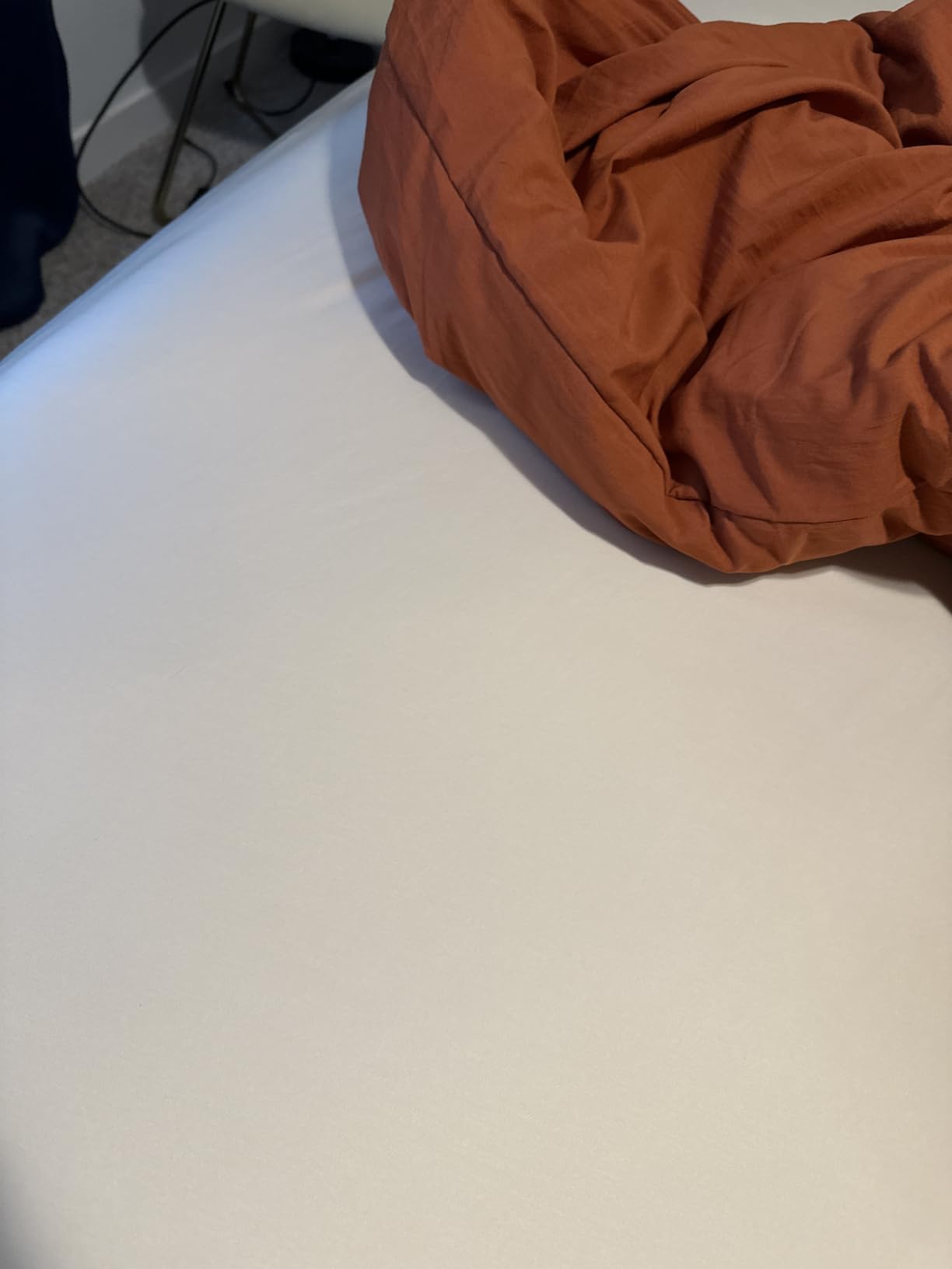 Queen Size Tencel Lyocell Cooling Sheets, Silky Soft Sheet Set with 16 Inch Deep Pocket, Breathable Eucalyptus Bedding for Hot Sleepers, Sage Green customer photo 1