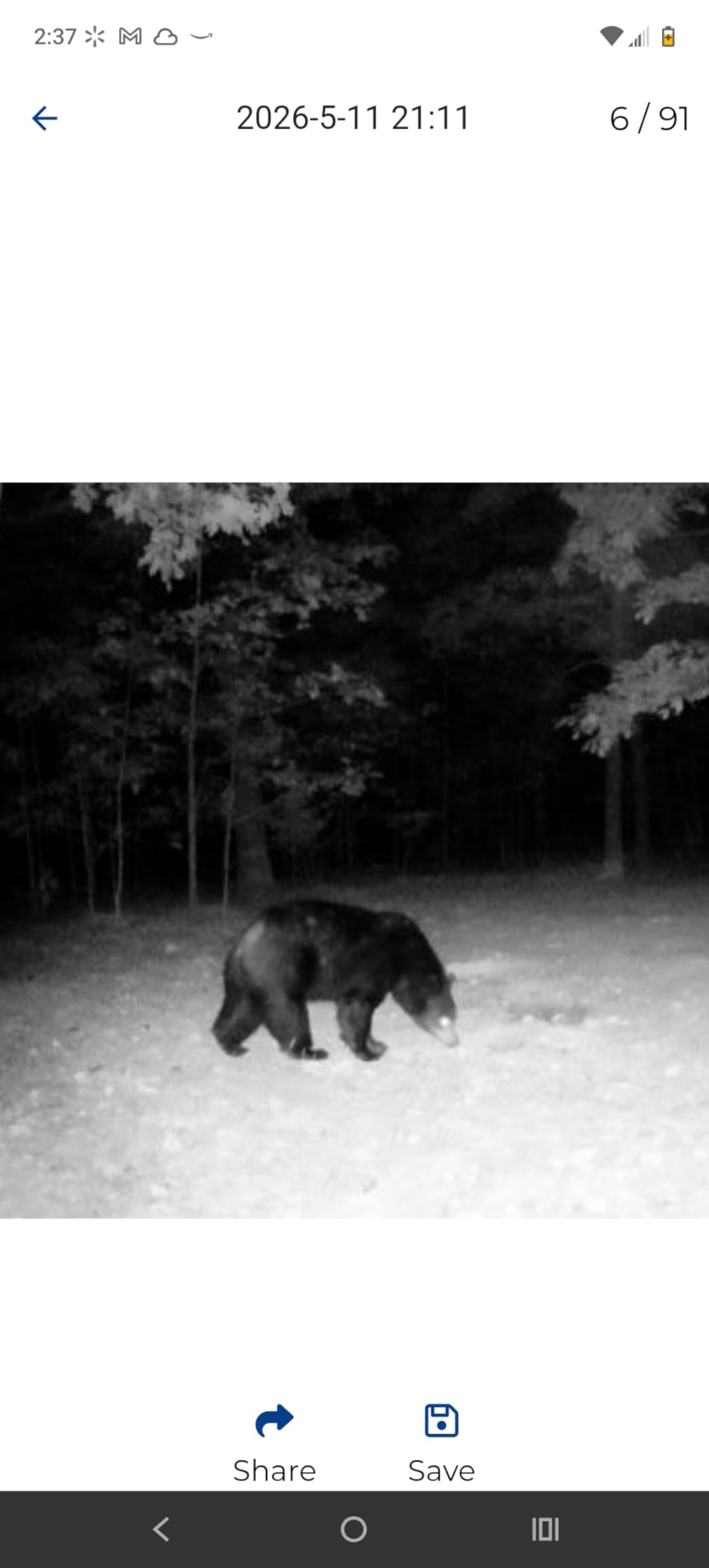 Zleo Cellular Trail Camera with Lifetime Data Free - Low Glow Night Vision Motion Activated, IP66 Waterproof, Live Streaming, 32GB Memory Card & Solar Panel Included customer photo 1