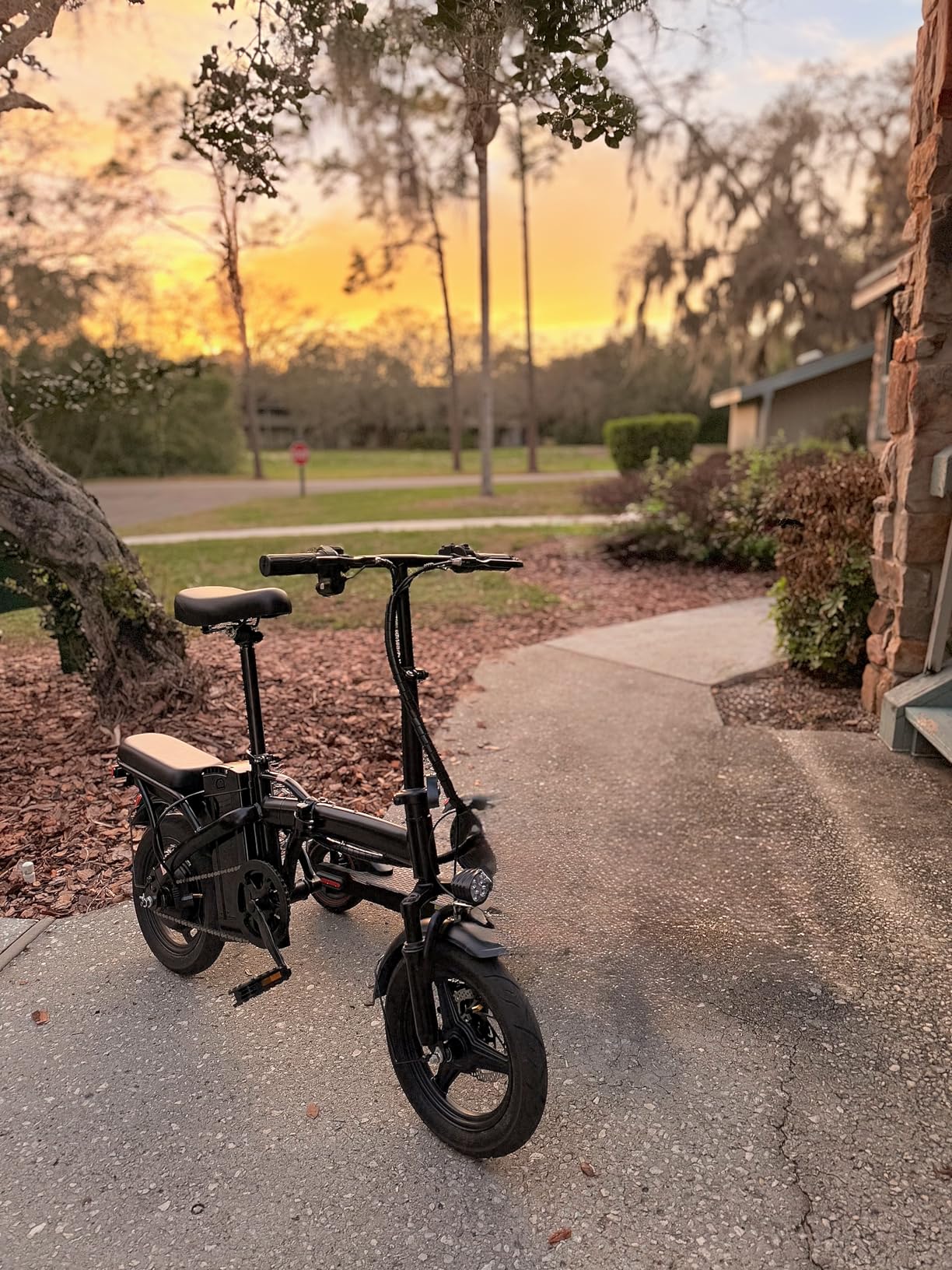 Folding Electric Bike for Adults, 500W Motor 25MPH & 35Miles Long Range, 14