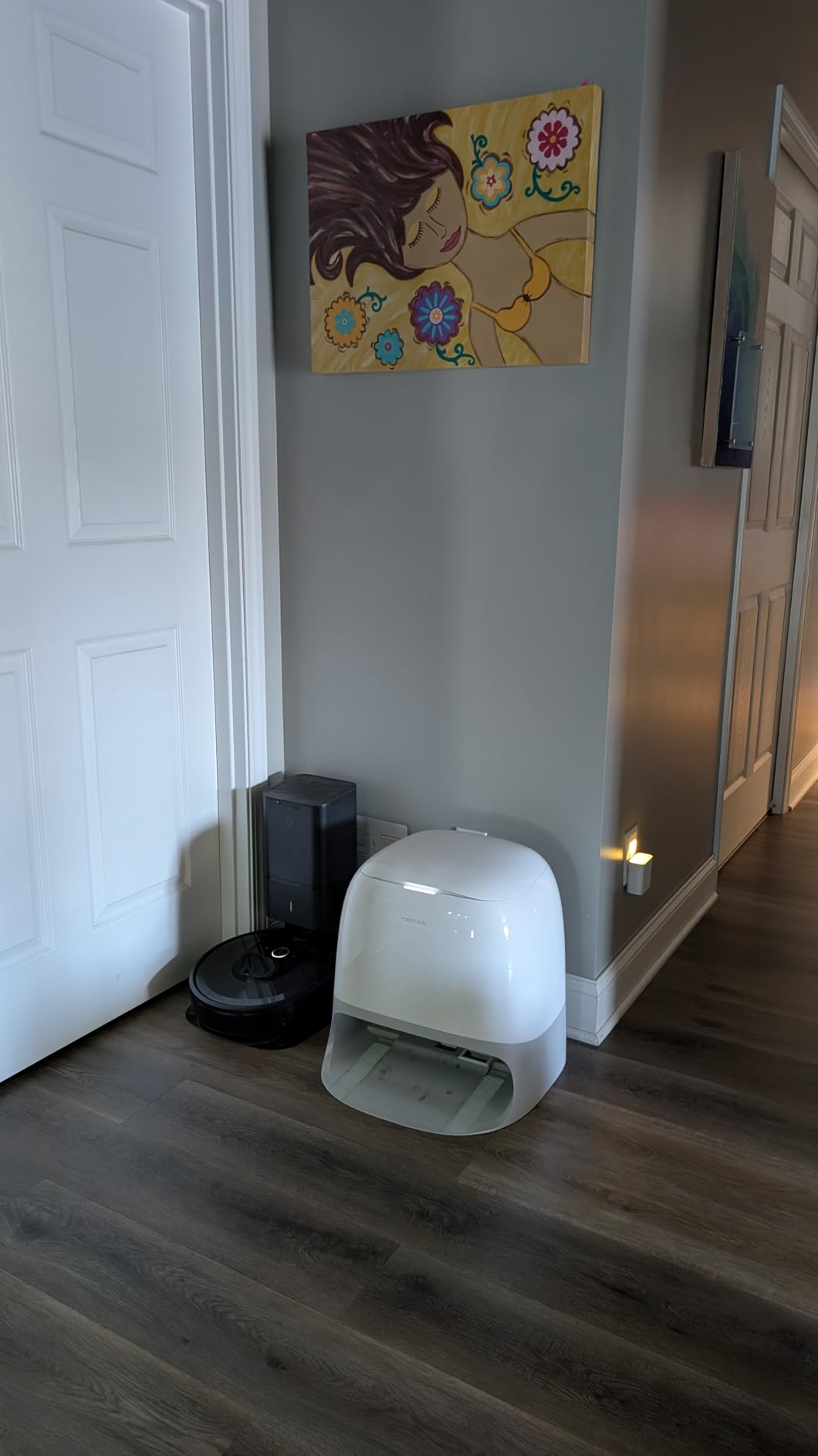 Roborock Qrevo Curv 2 Flow Robot Vacuum and Mop, SpiraFlow Real-Time Self-Cleaning Roller Mop, 20,000 Pa, Dual Zero-Tangle System, AI Obstacle Avoidance, Heat-Washes and Dries Mop, Carpet Protection customer photo 1