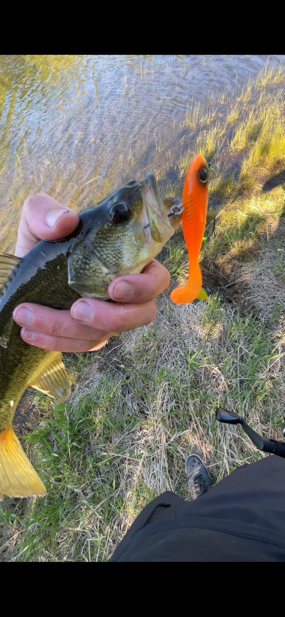 TRUSCEND Duramax Pre-Rigged Fishing Lures with BKK Jig Hooks, 10X Tear-Resistant TPE Soft Swimbaits for Bass Striper Trout Crappie Walleye Grouper, Lifelike Fishing Baits for Saltwater and Freshwater customer photo 2