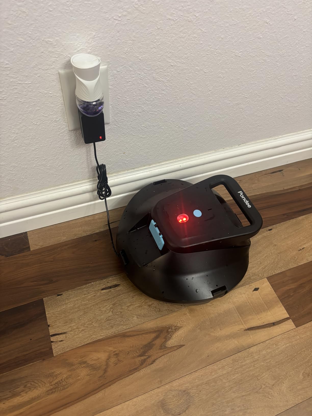 (2026 Upgraded) Pondee X1 Robotic Pool Vacuum, Cordless Pool Cleaner with 120-Min Runtime, Auto-Parking, 2.5h Fast Charging, for Above-Ground & Flat-Bottom Inground Pools up to 850 sq.ft customer photo 1