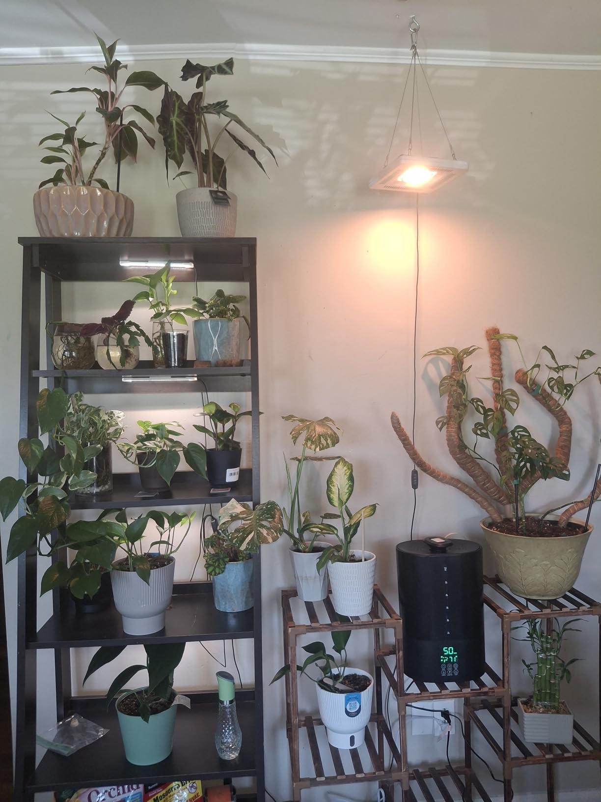 Coolfiqu 6L Humidifiers for Bedroom Large Room Home, Cool and Warm Humidifier for Baby and Plants Hot Mist Top Fill Desk Humidifiers Oil Diffuser, Quiet, Adjustable Mist, 360°Nozzle-Black(2026 Upgraded) customer photo 1