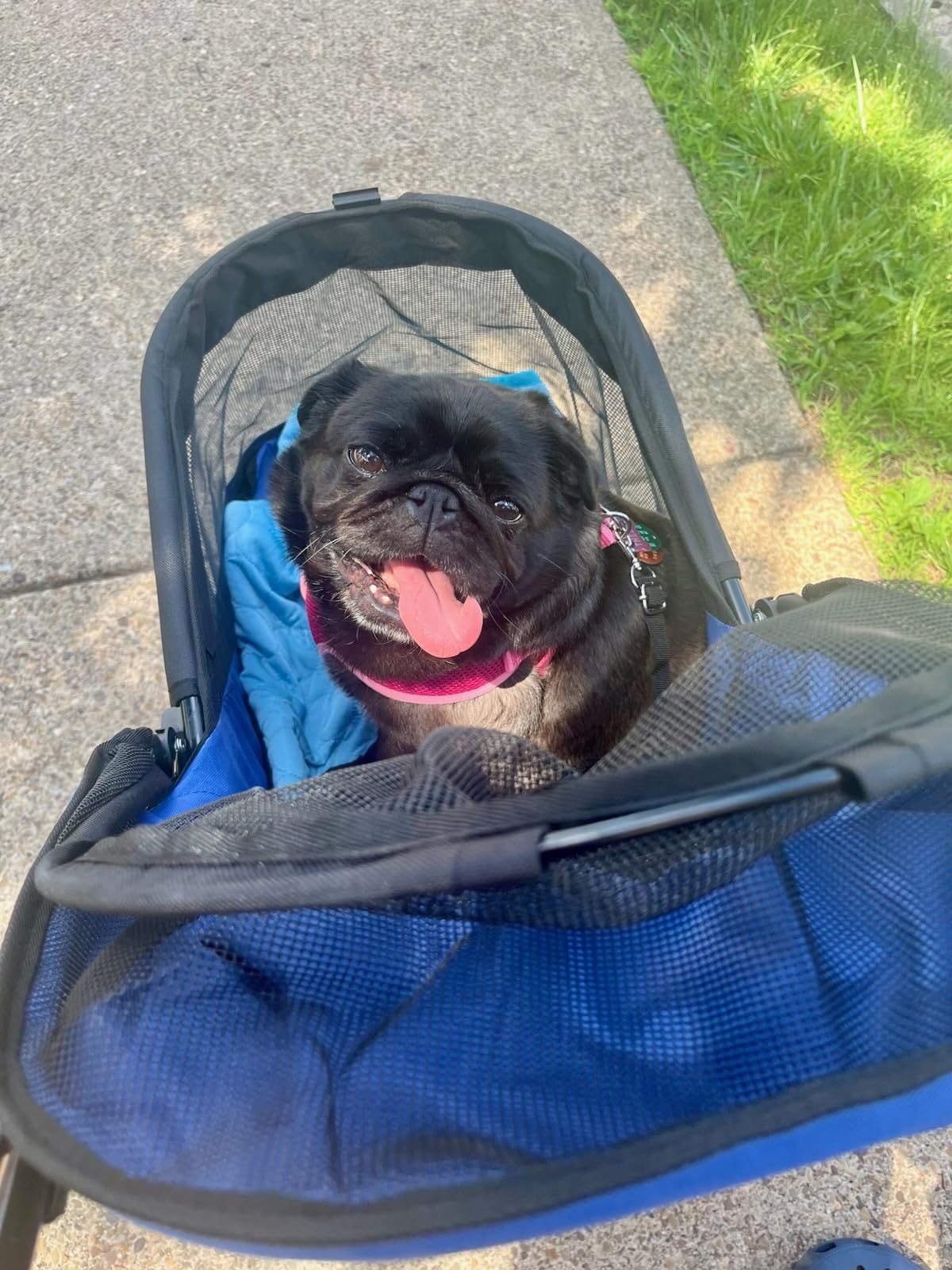 Pet Gear No-Zip Happy Trails Pet Stroller for Cats/Dogs, Pine Green | Zipperless Entry, Easy Fold with Removable Liner, Safety Tether, Storage Basket + Cup Holder customer photo 2