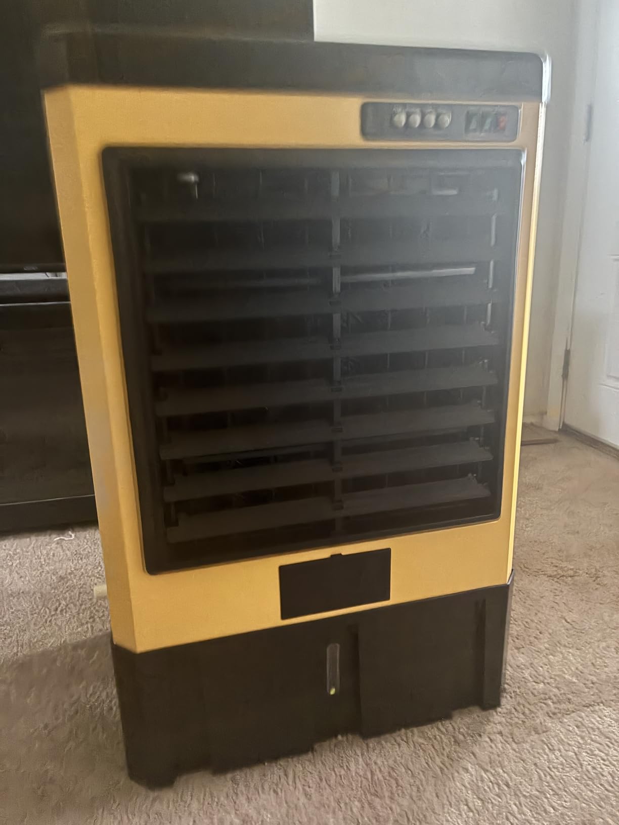 AKIRES 6500CFM Swamp Coolers, Portable Evaporative Air Cooler for 1600 Sq.ft of Space, with Continuous Auto Fill, 19-Gal Water Tank, 120 Degree Oscillation, 5 Ice Packs, Cooling Fan for Outdoor, Indoor Use (48IN) customer photo 2