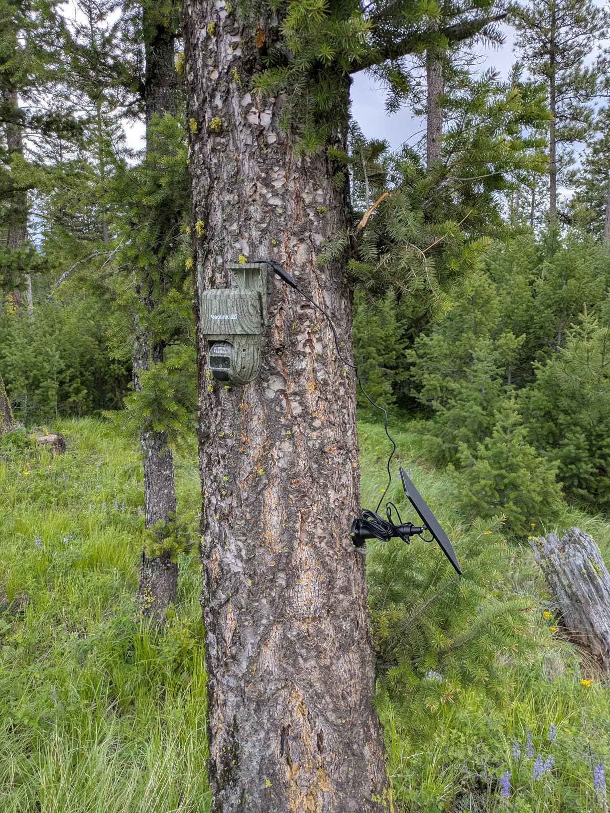 REOLINK 4K Dual Lens 4G Cellular Trail Camera, Auto Tracking Security Camera Wireless Outdoor, 6X Hybrid Zoom, SIM Card Included, IP66 Waterproof for Wildlife, TrackMix LTE Trail customer photo 1