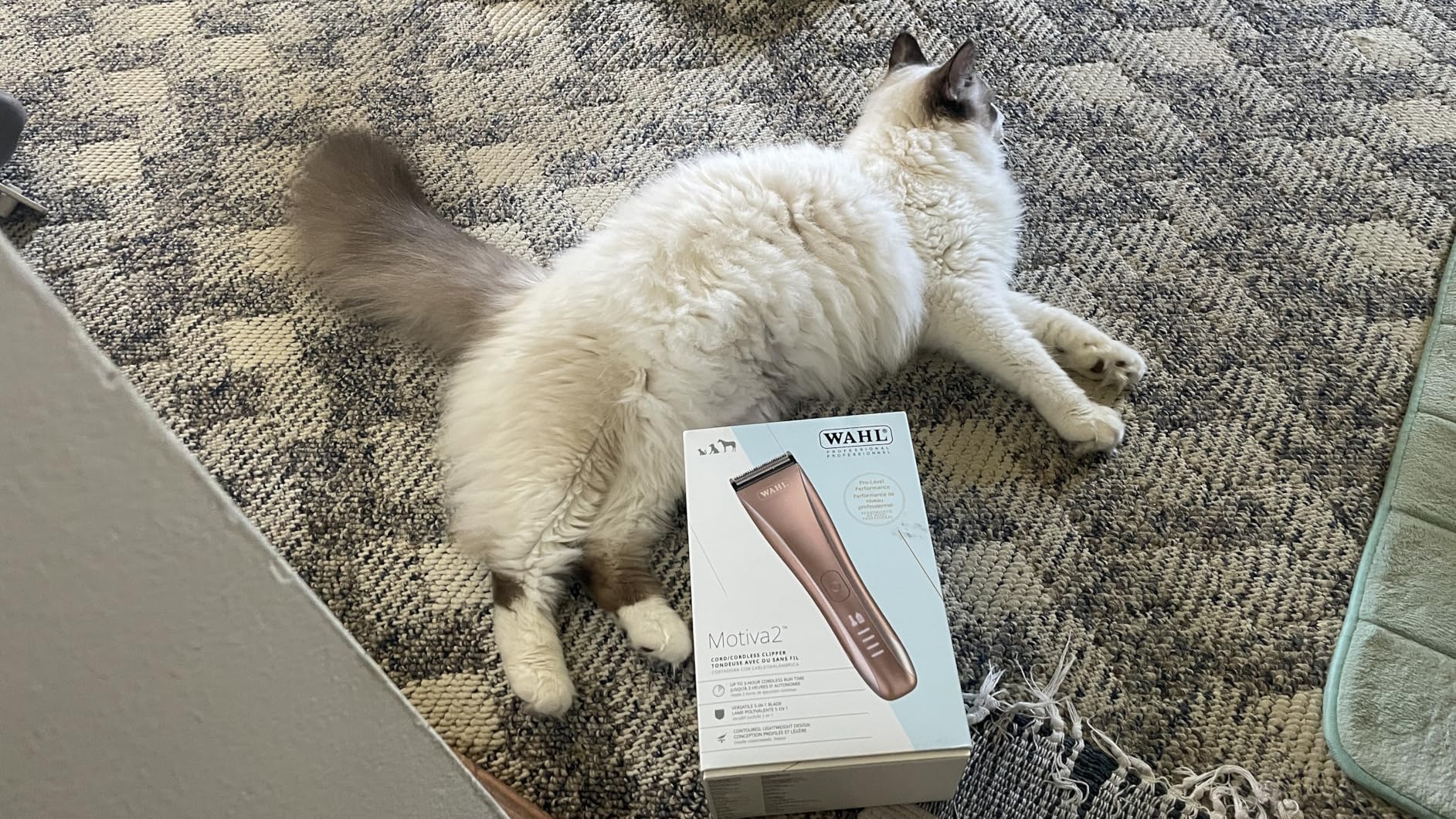 Wahl Pro Animal Motiva2 - Professional Pet Clipper for Dogs, Cats & Horses - Cordless - Digital Display with LED Indicator - Blue Ivy customer photo 1