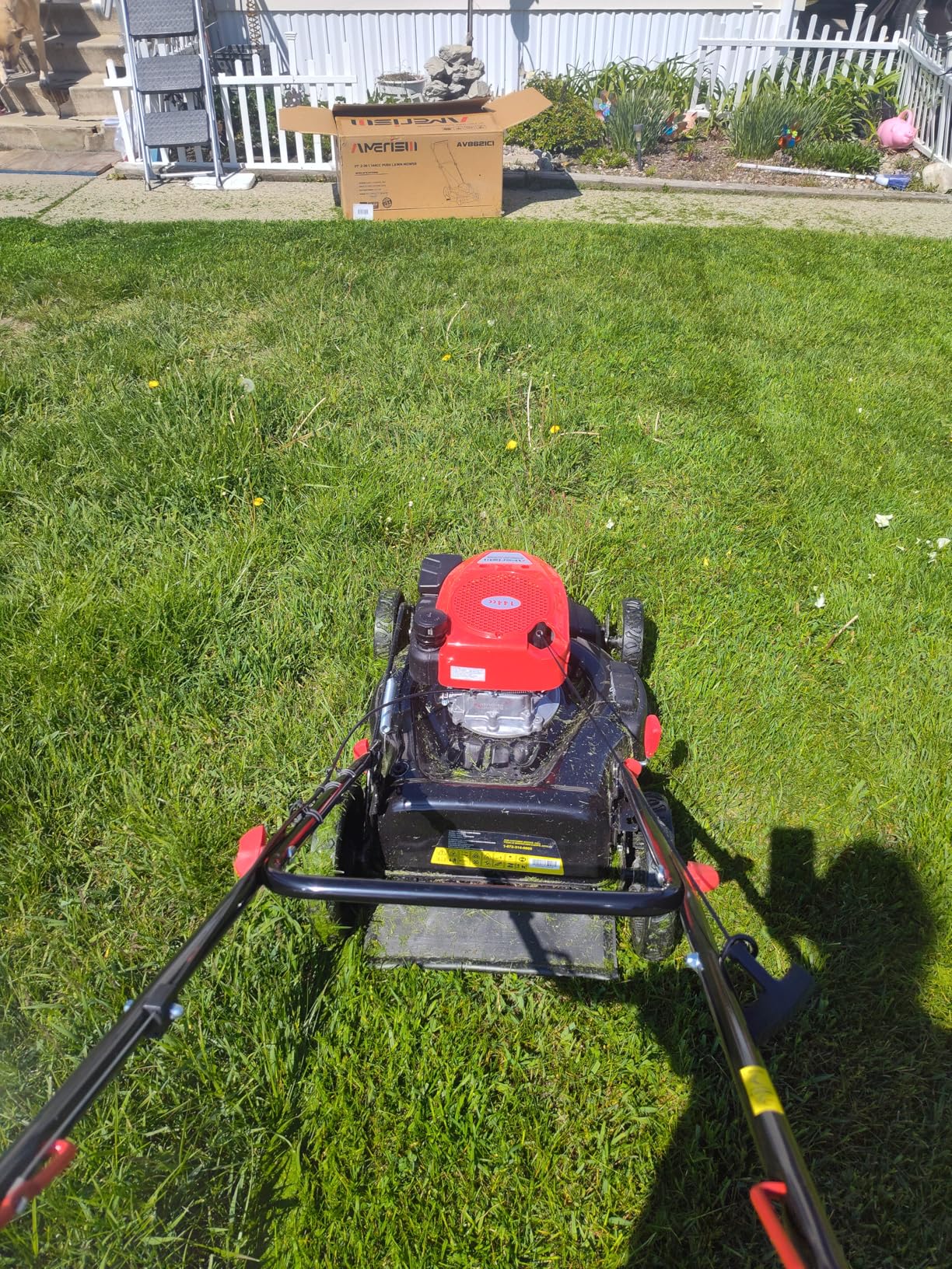 AMERISUN 21-Inch Self-Propelled Gas Lawn Mower for Large Yard, 170cc 4-Stroke Engine, 6-Position Adjustable Cutting Height, 3-in-1 Mulching, Side Discharge & Rear Bag for Garden Landscaping customer photo 1