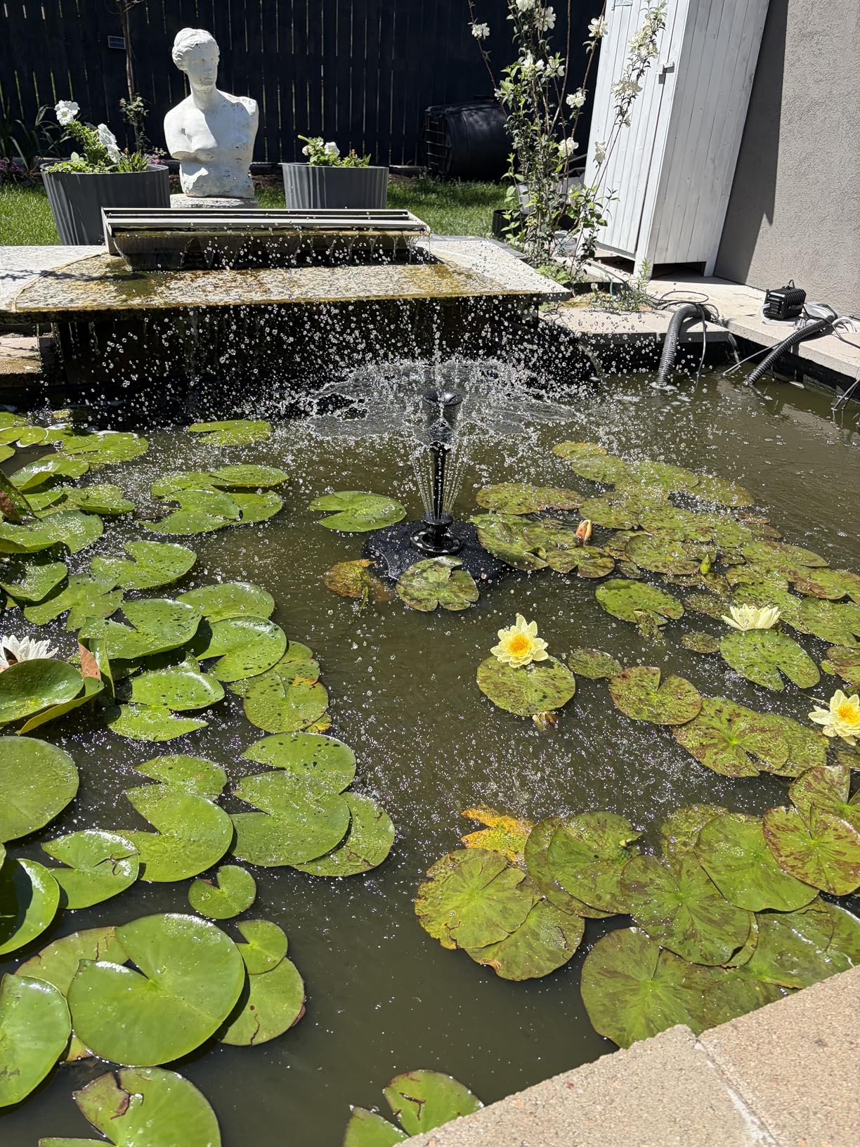 Biling Floating Pond Fountain with 660GPH Pond Pump, Color-Changing LED Lights, 27 FT Power Cord, 3 Spray Patterns - Outdoor Pond Fountain, Black customer photo 1