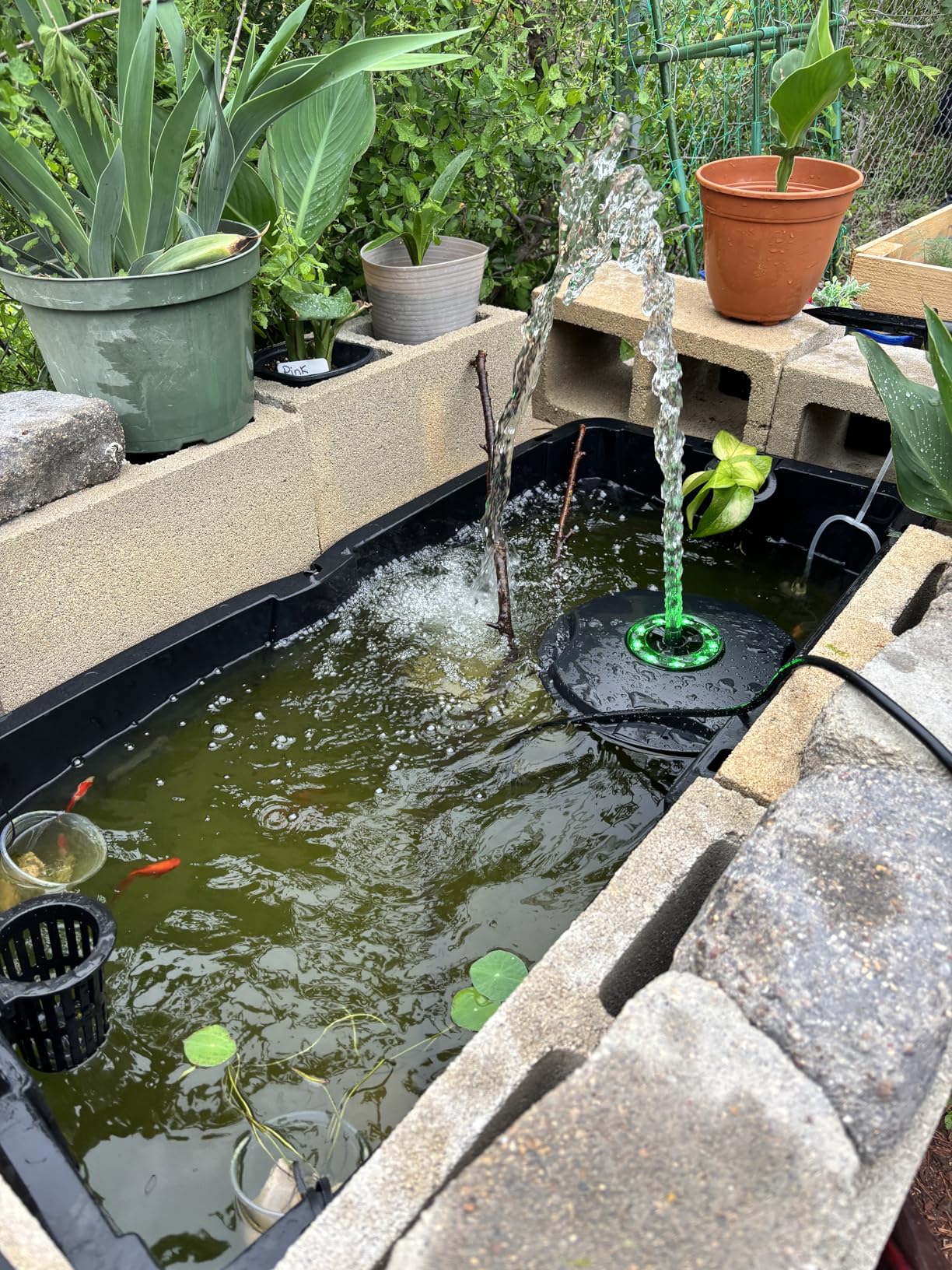 Biling Floating Pond Fountain with 660GPH Pond Pump, Color-Changing LED Lights, 27 FT Power Cord, 3 Spray Patterns - Outdoor Pond Fountain, Black customer photo 2