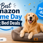 Best Amazon Prime Day Dog Bed Deals