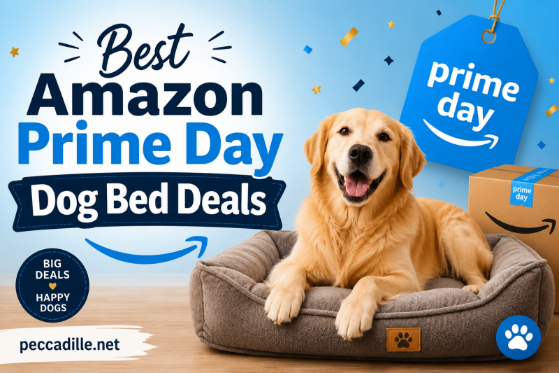 Best Amazon Prime Day Dog Bed Deals