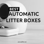 Best Automatic Litter Boxes
