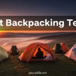 Best Backpacking Tents