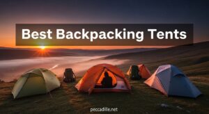 Best Backpacking Tents