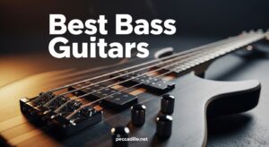Best Bass Guitars
