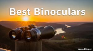 Best Binoculars
