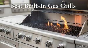 Best Built In Gas Grills