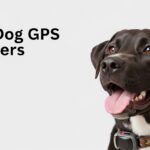 Best Dog GPS Trackers