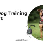 Best Dog Training Collars