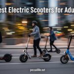 Best Electric Scooters for Adults