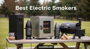 Best Electric Smokers