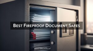 Best Fireproof Document Safes