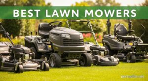 Best Lawn Mowers